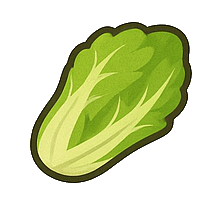 Chinese cabbage : 200 g