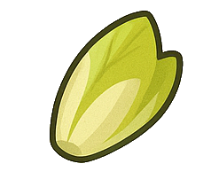 Belgian endives : 4