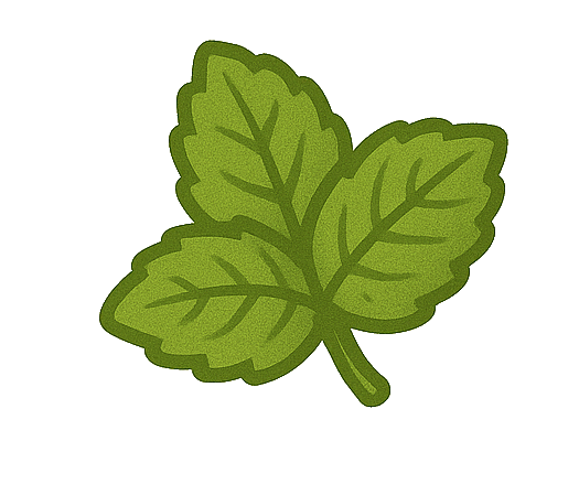 Mint : a few leaves