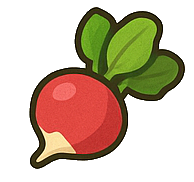 Radishes : 10
